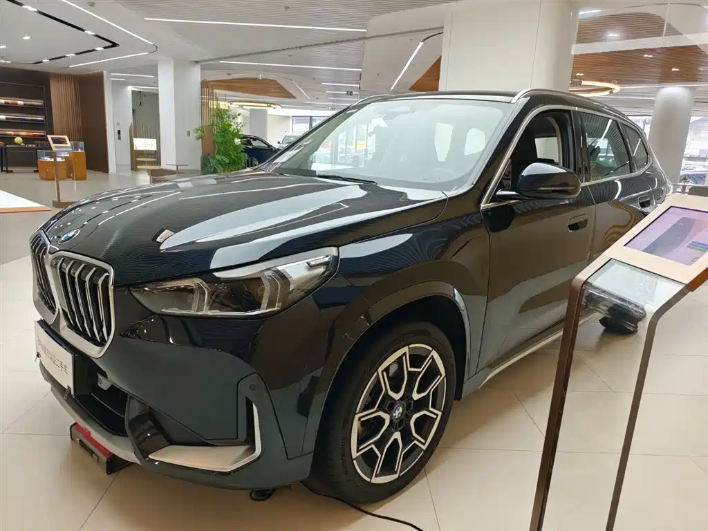 BMW X1 — миниатюра 2