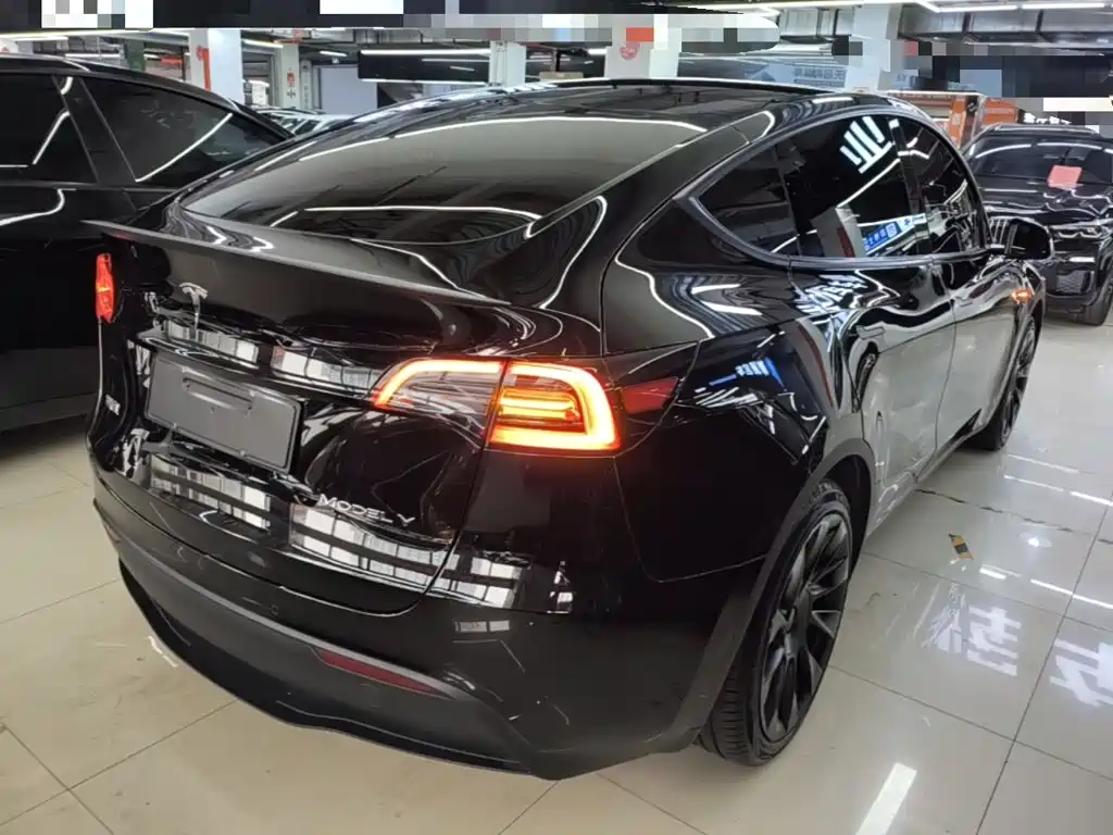 Tesla Model Y — миниатюра 7