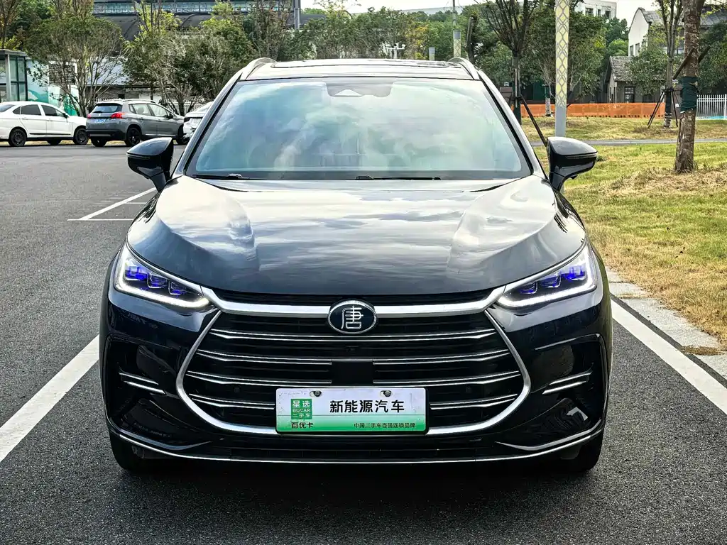 BYD Tang New Energy — миниатюра 2