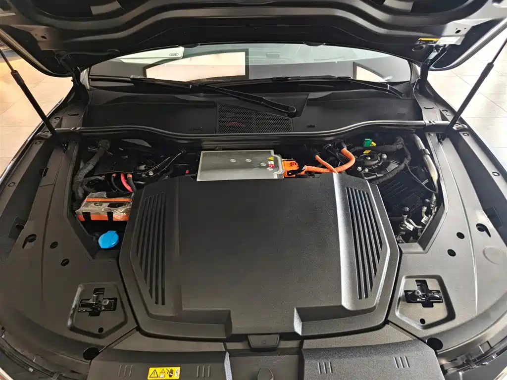 Audi e-tron (Import) — миниатюра 15