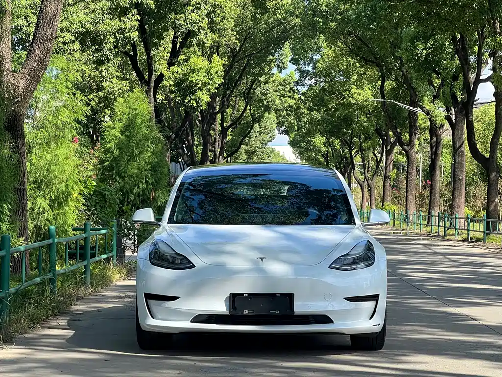 Tesla Model 3 — миниатюра 2