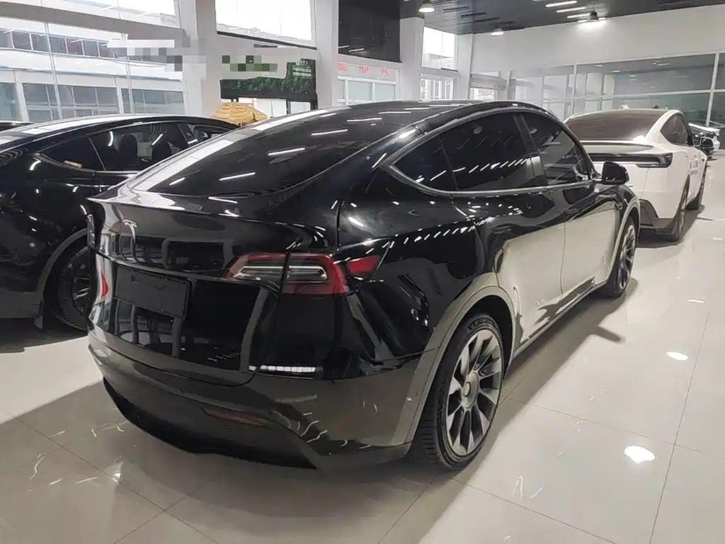 Tesla Model Y — миниатюра 7