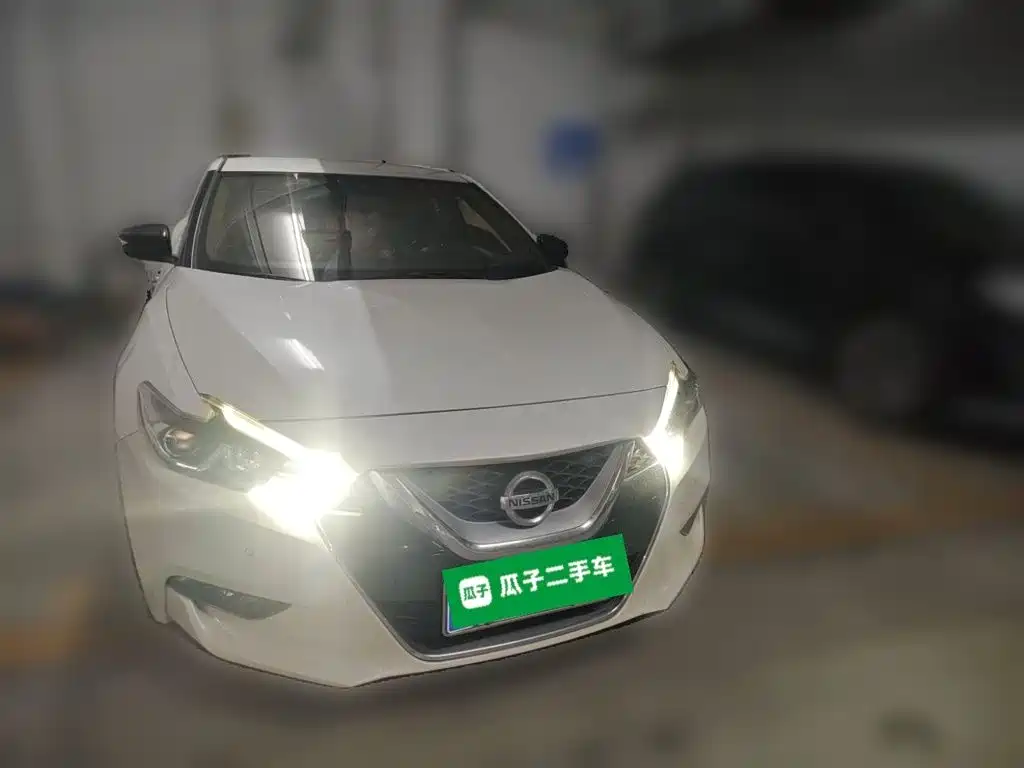 Nissan Cima — миниатюра 2
