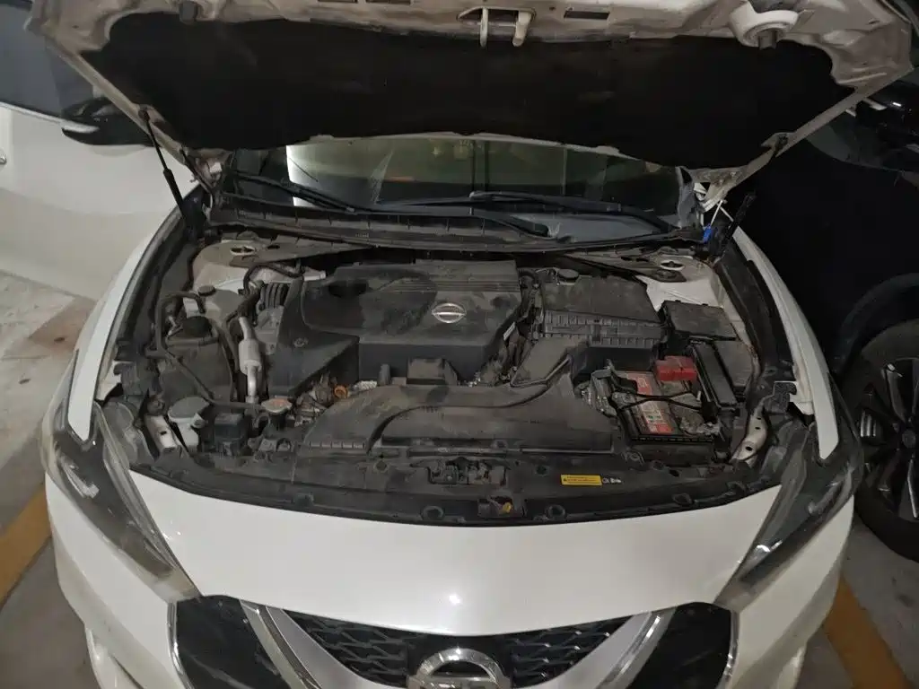 Nissan Cima — миниатюра 16