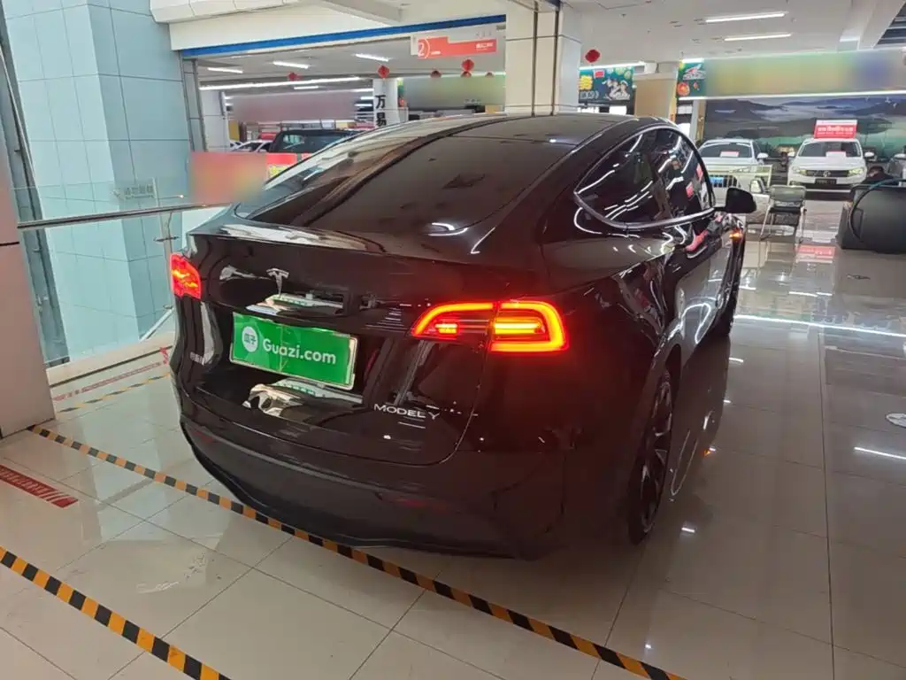 Tesla Model Y — миниатюра 7