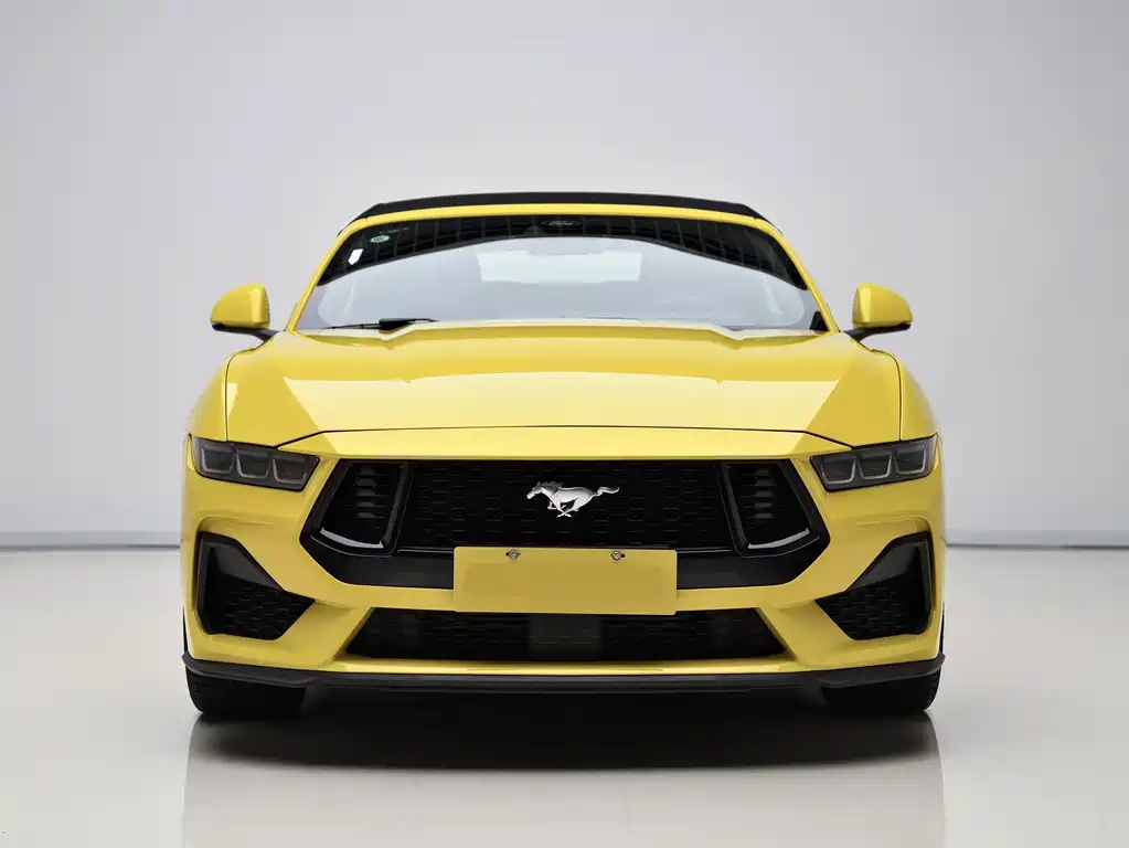Ford Mustang — миниатюра 2