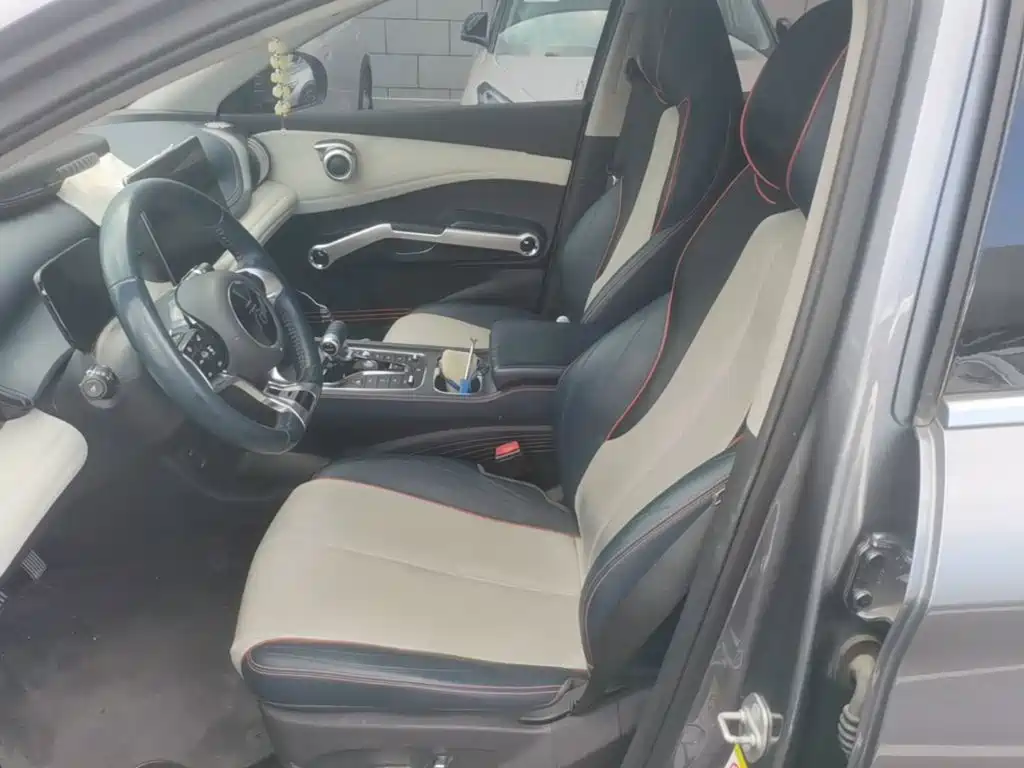 BYD Yuan Plus — миниатюра 15
