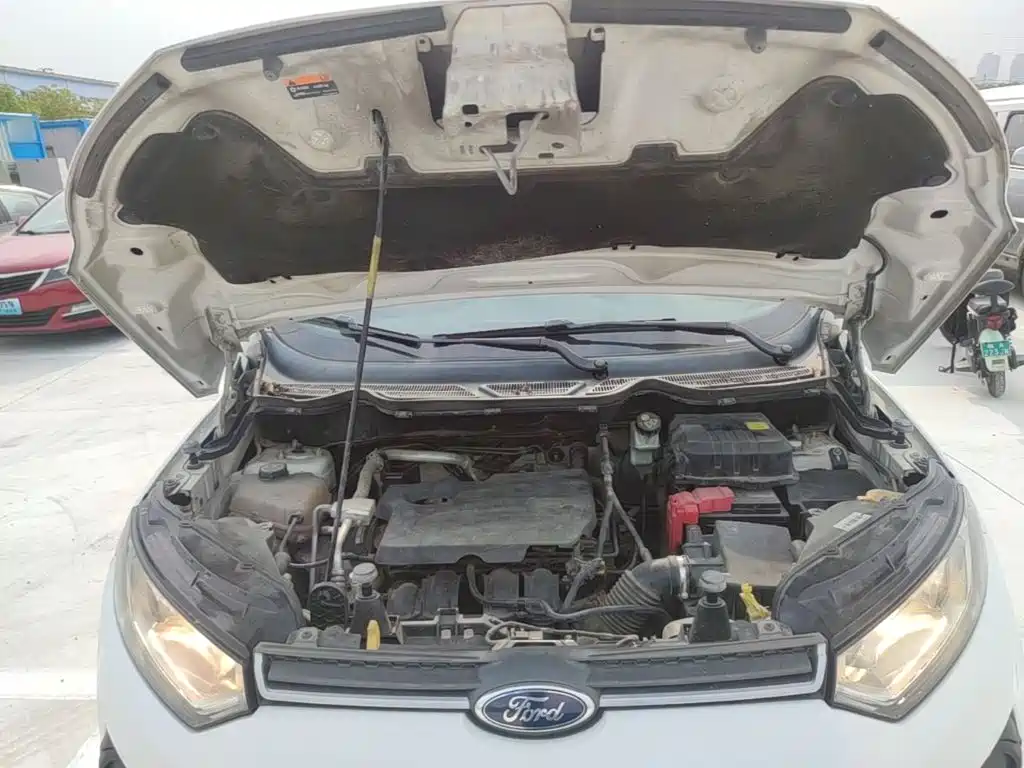 Ford Ecosport — миниатюра 20
