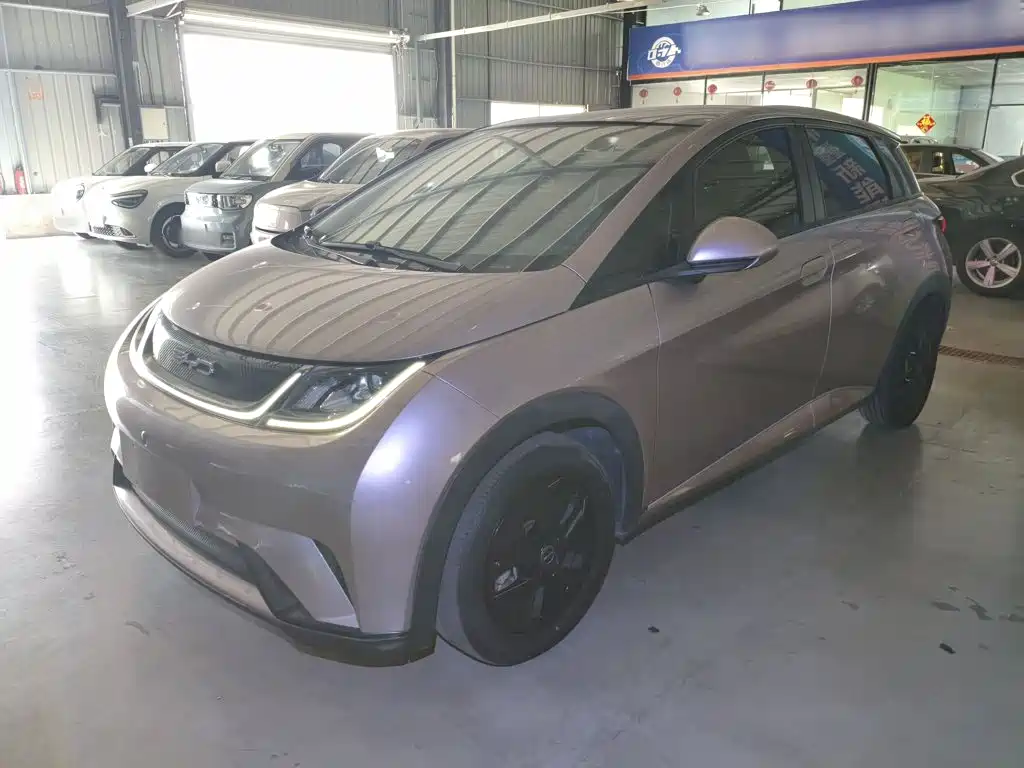 BYD Dolphin — миниатюра 2