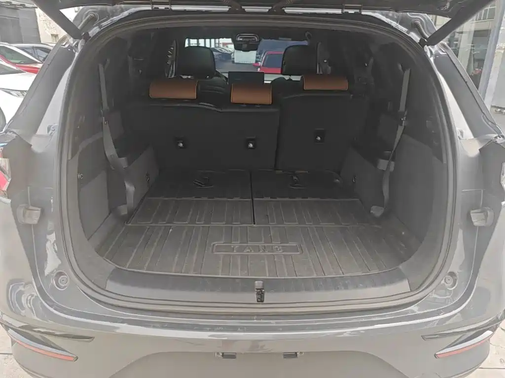 BYD Tang New Energy — миниатюра 19