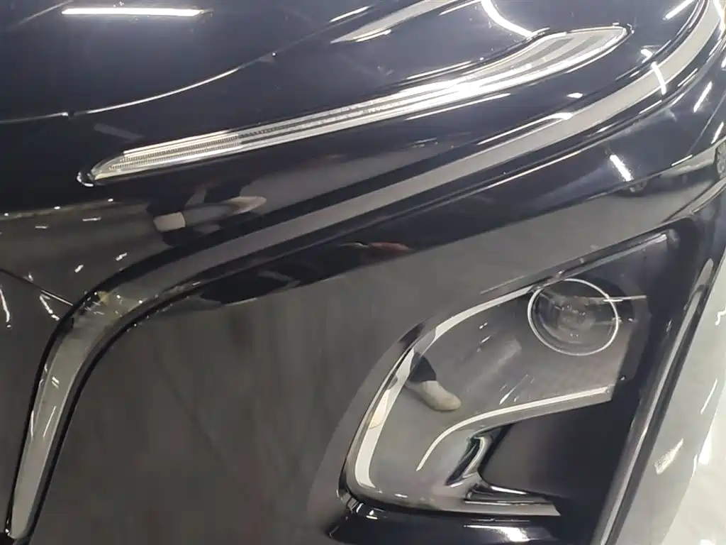 Hongqi Hongqi E-QM5 - фото 24