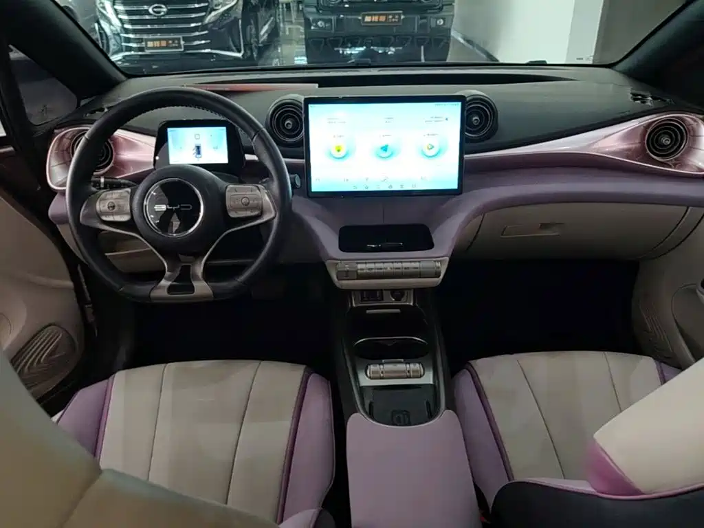 BYD Dolphin — миниатюра 10