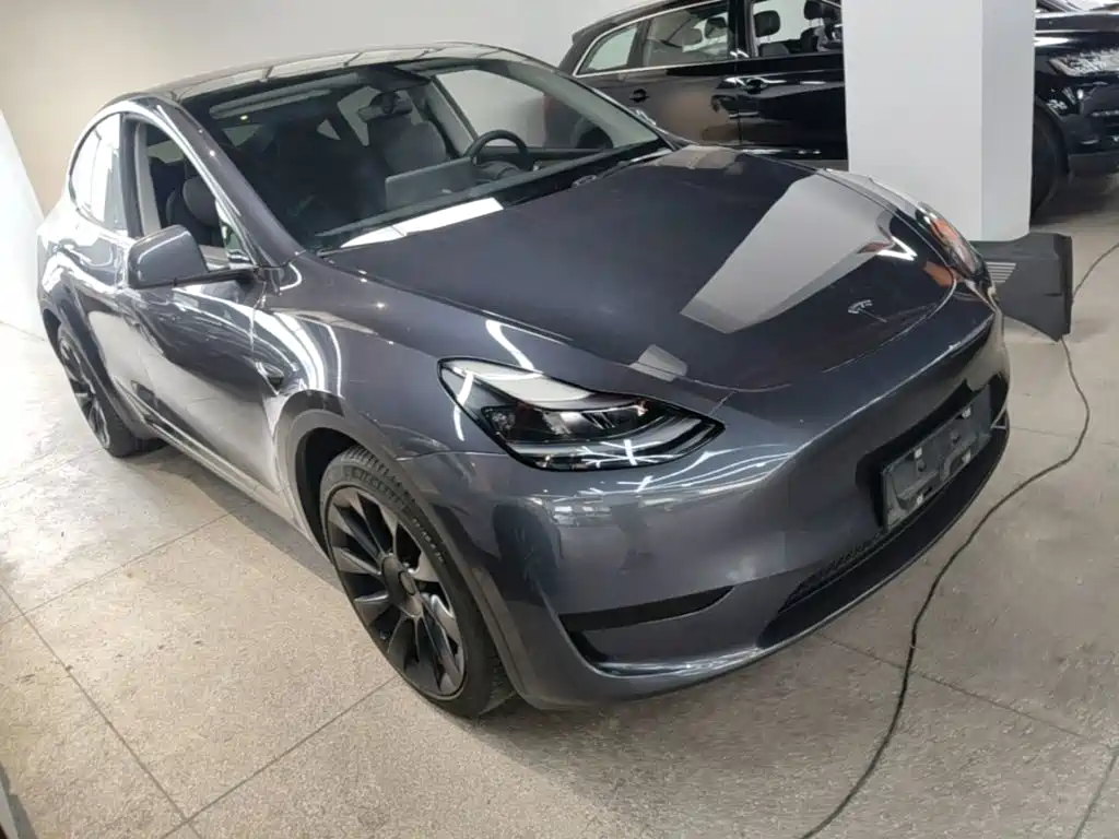 Tesla Model Y — миниатюра 4