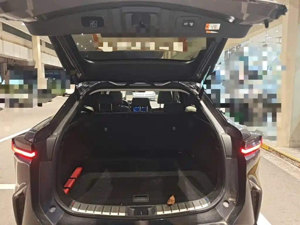 Lexus RZ — миниатюра 19