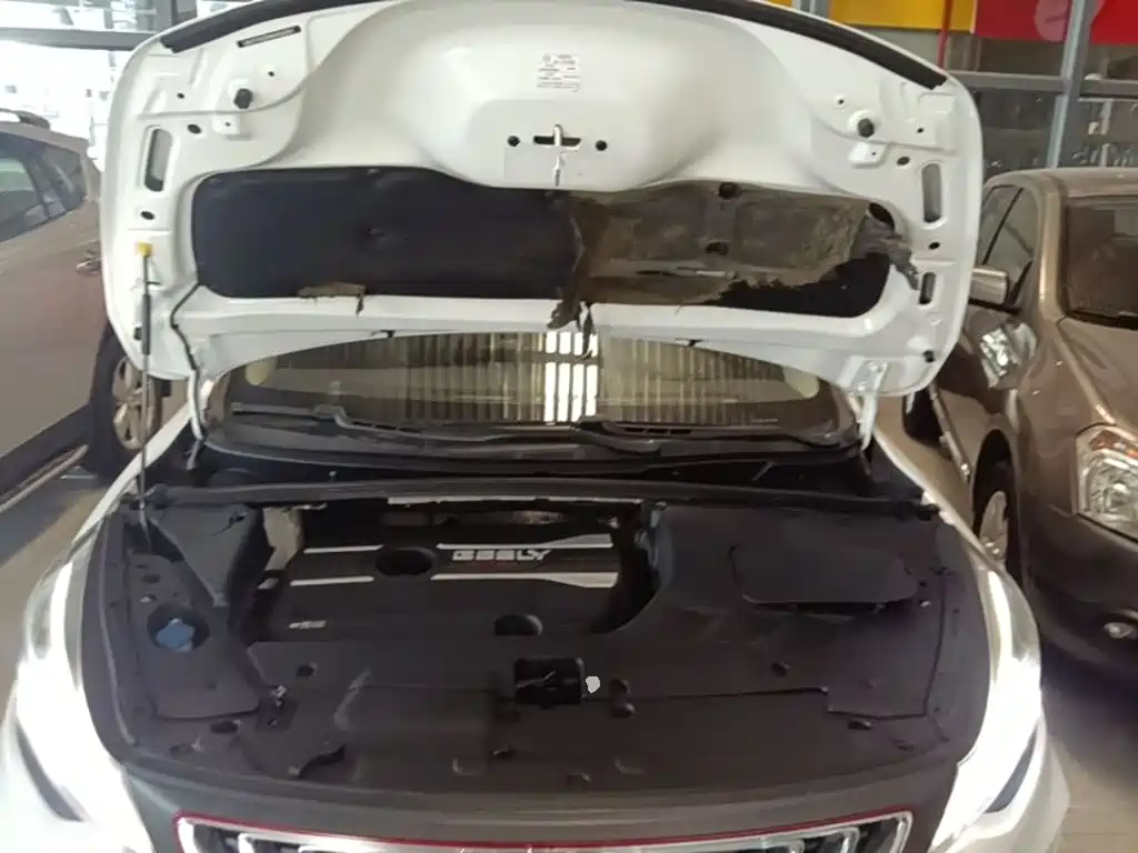 Geely Emgrand GS — миниатюра 20
