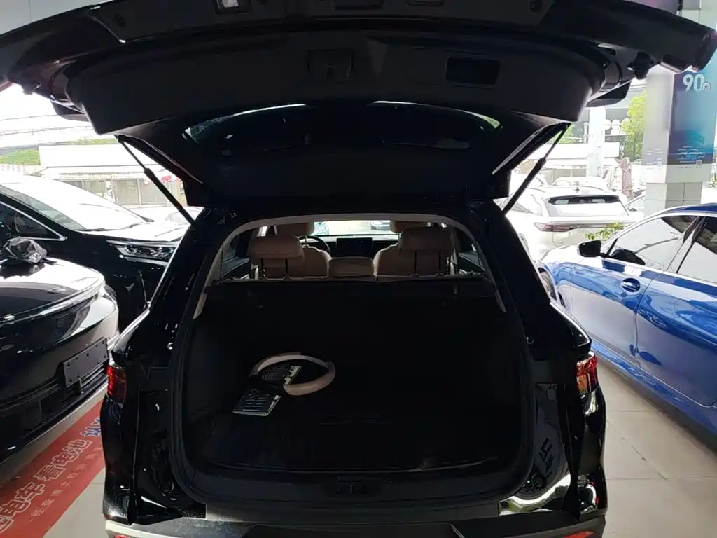 BYD Pro New Energy — миниатюра 19