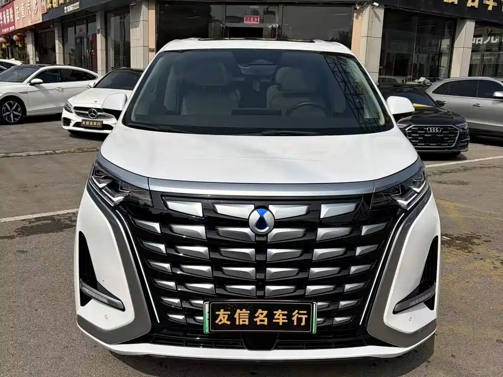 Denza Denza D9 — миниатюра 2