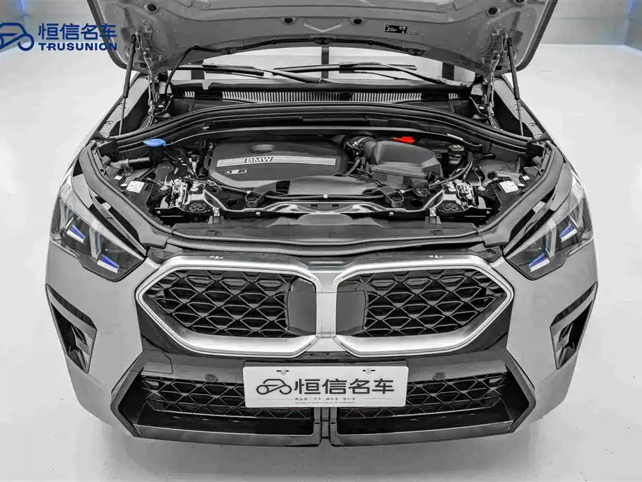 BMW X2 (Import) — миниатюра 21