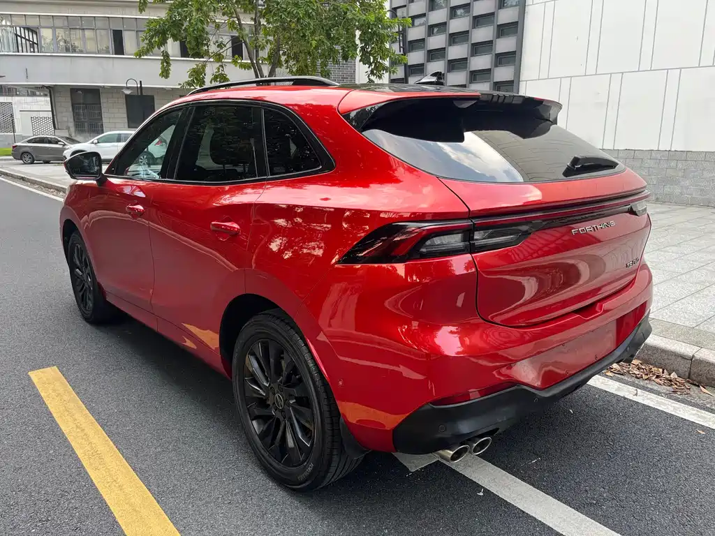 Fengxing Fengxing T5 EVO — миниатюра 8