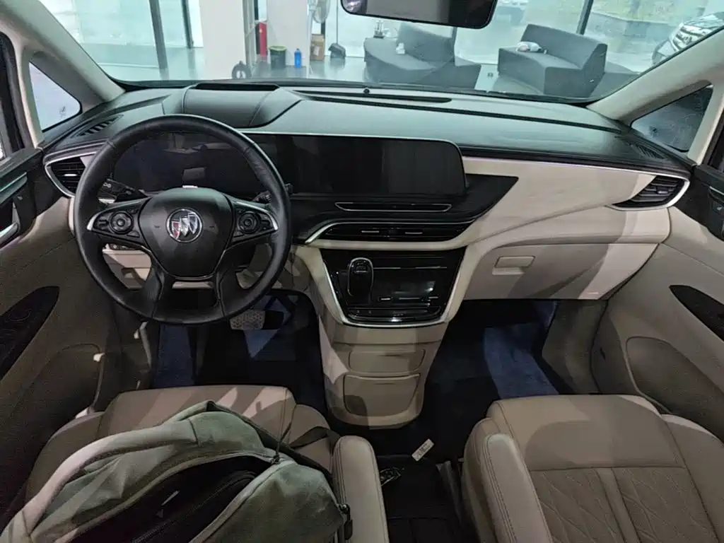 Buick GL8 — миниатюра 10