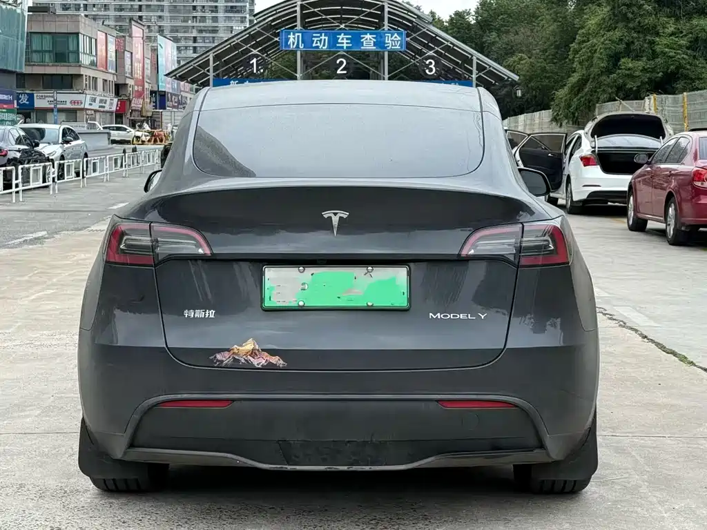 Tesla Model Y — миниатюра 3