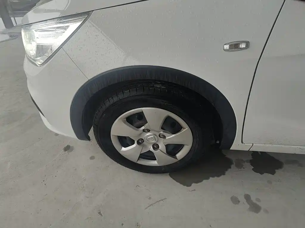 Baojun 310 — миниатюра 23