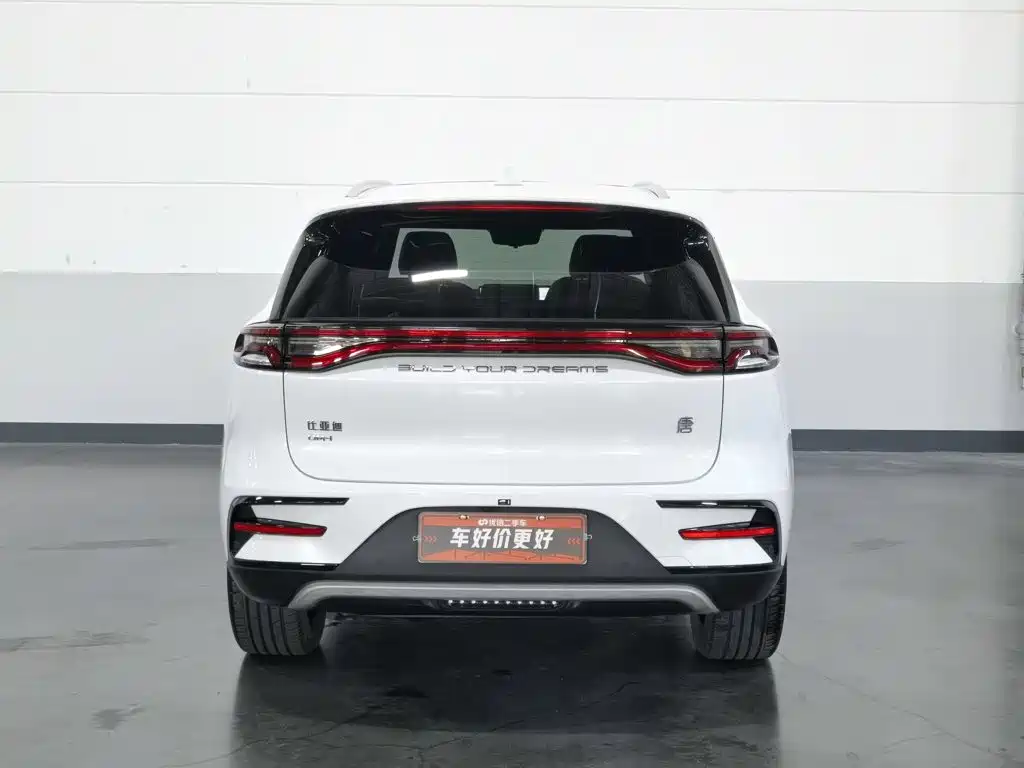 BYD Tang New Energy — миниатюра 4