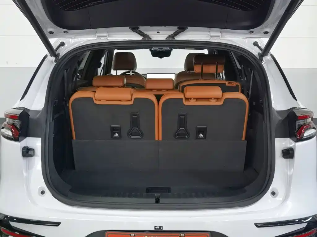BYD Tang New Energy — миниатюра 16