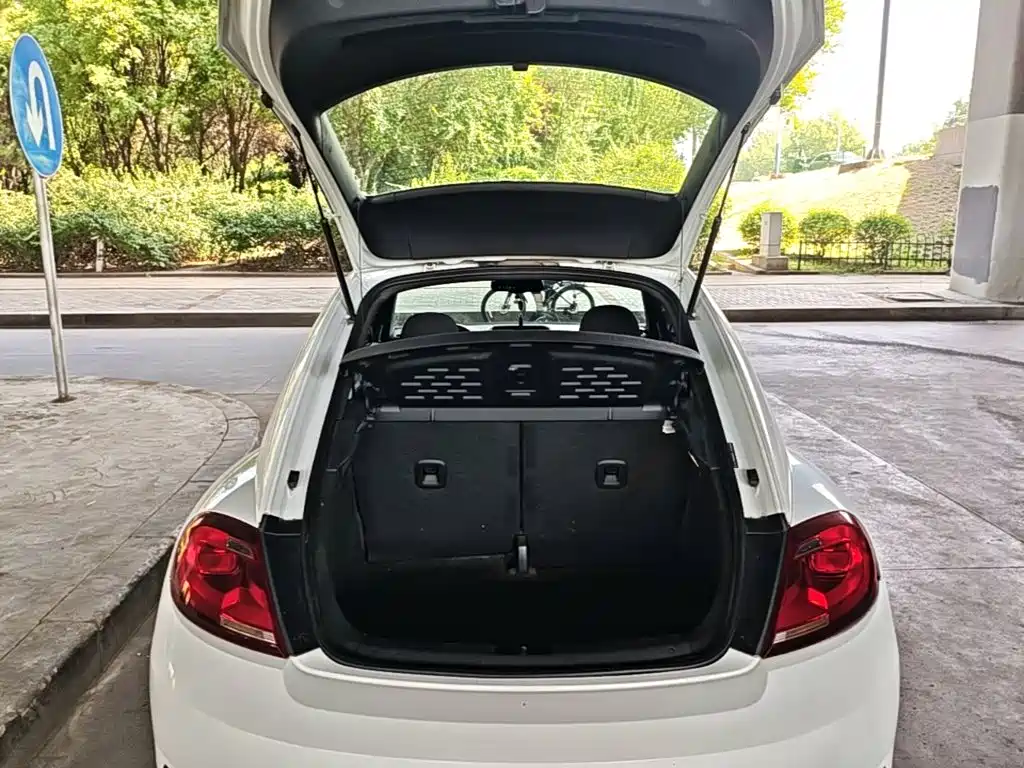 Volkswagen Beetle — миниатюра 19