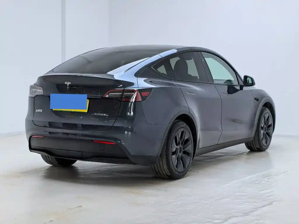 Tesla Model Y — миниатюра 10