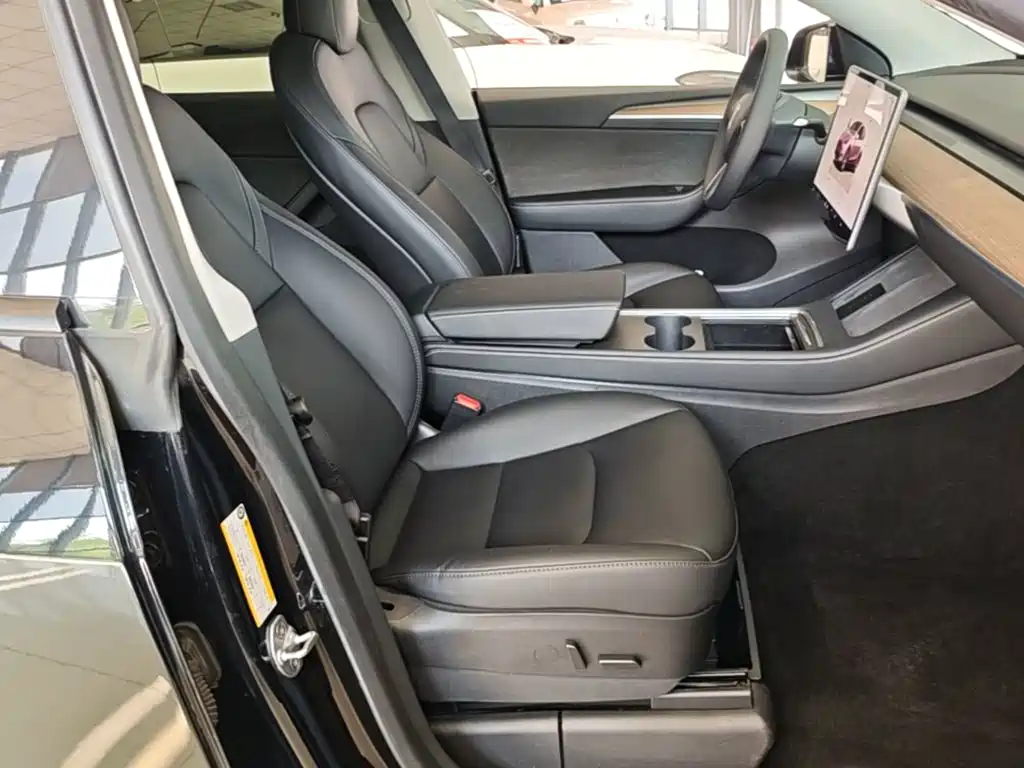 Tesla Model Y — миниатюра 25