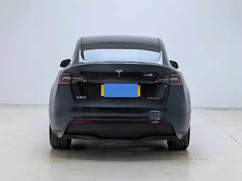 Tesla Model Y — миниатюра 9