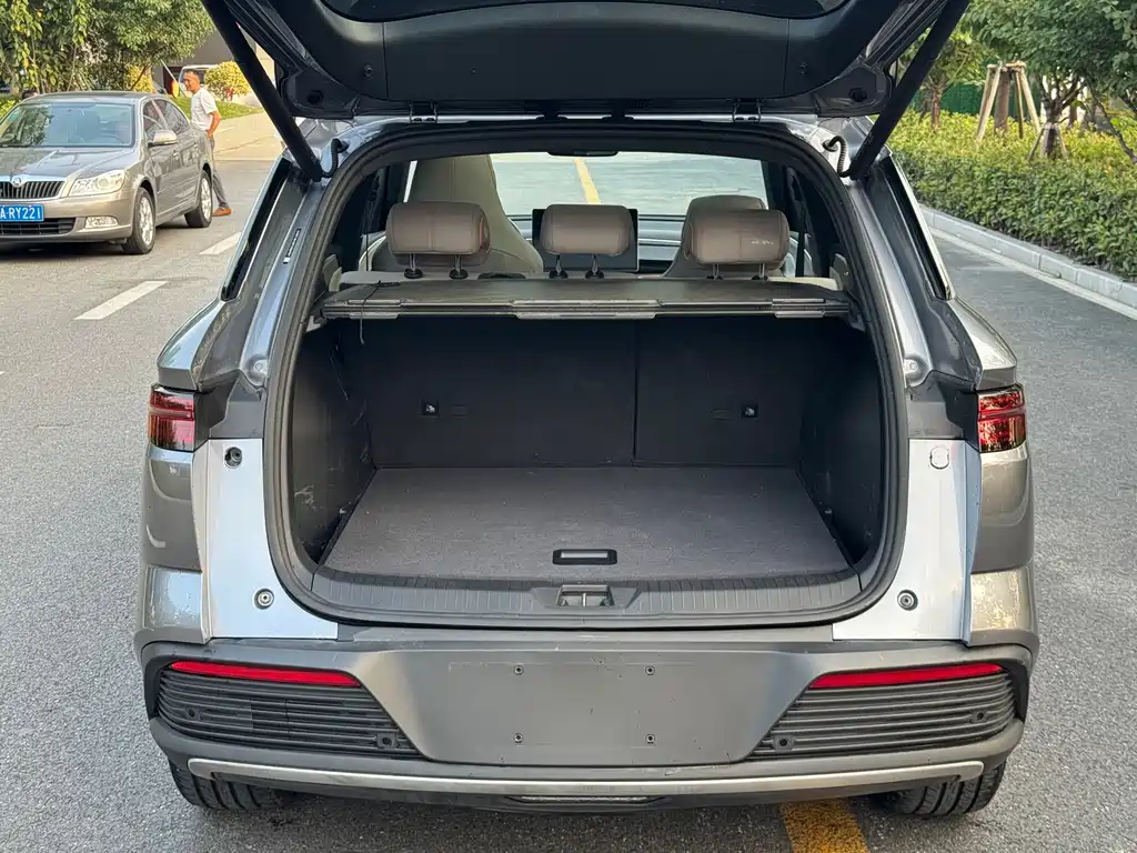 BYD Pro New Energy — миниатюра 18