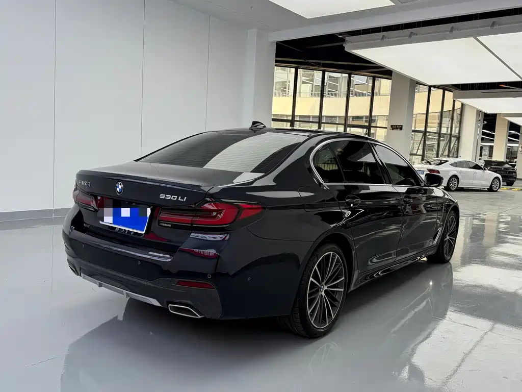BMW 5 Series — миниатюра 13
