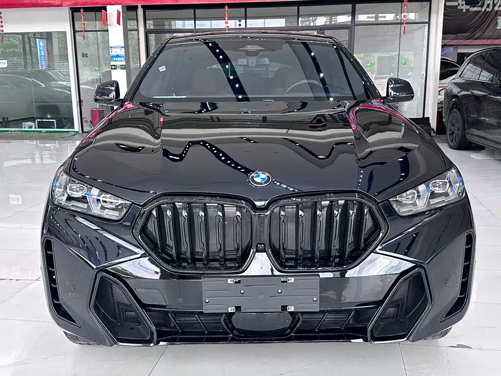 BMW X6 — миниатюра 2