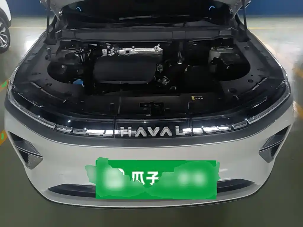 Haval Xiaolong MAX — миниатюра 25