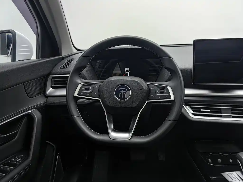 BYD Pro — миниатюра 11