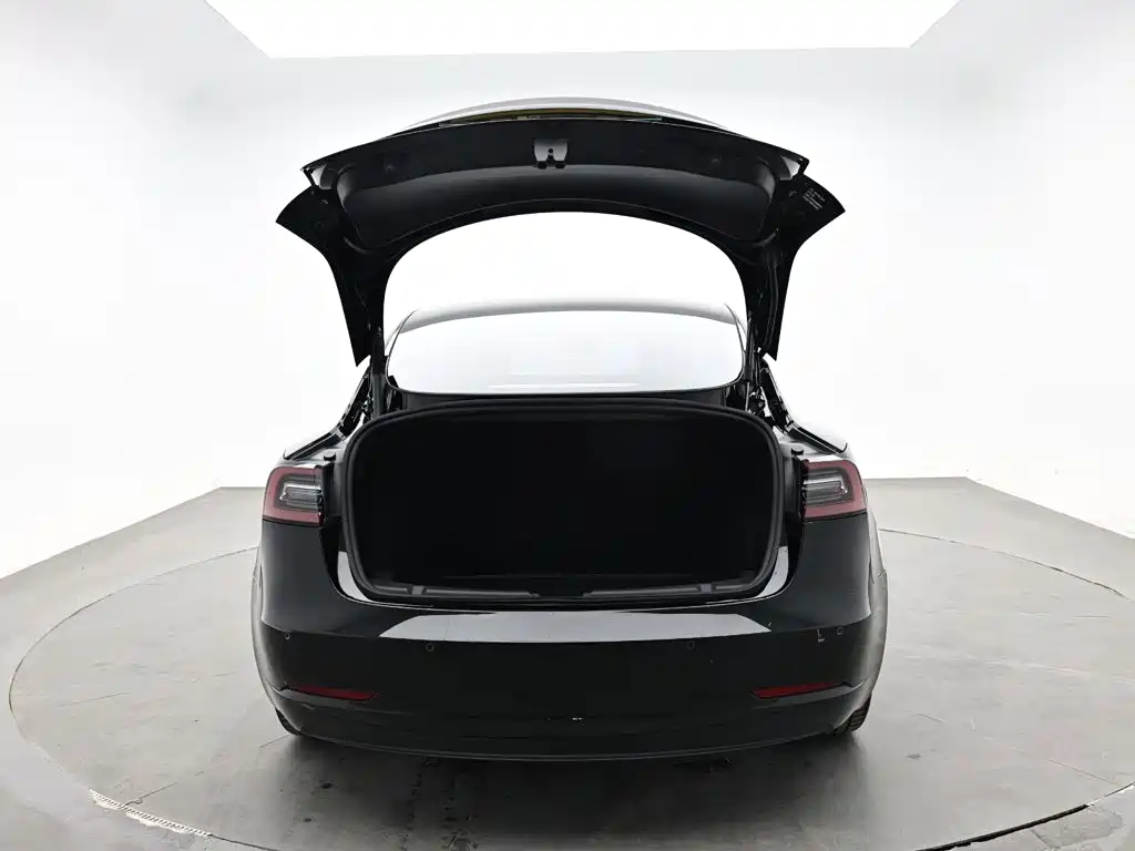 Tesla Model 3 — миниатюра 10
