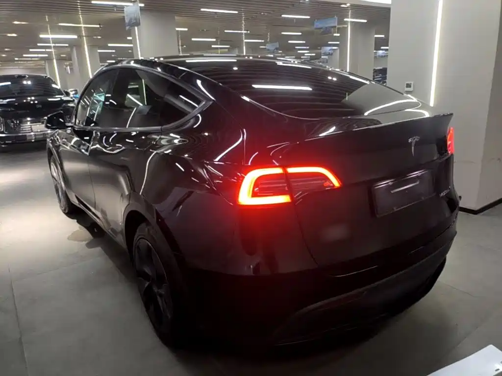 Tesla Model Y — миниатюра 5