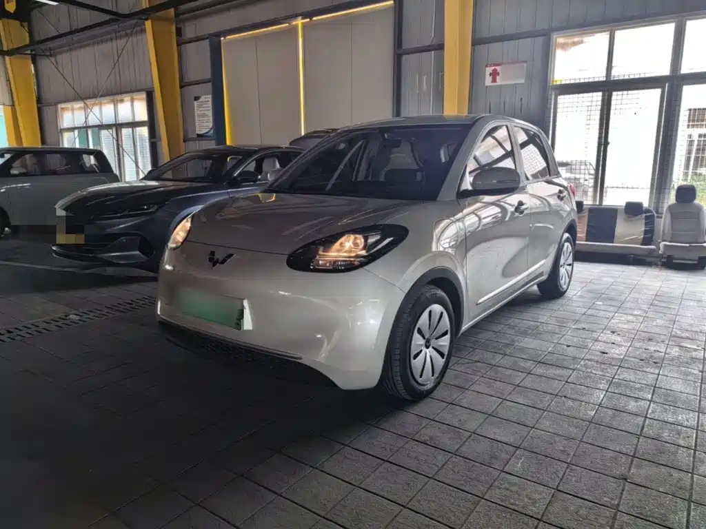 Wuling Binguo 2023 333km