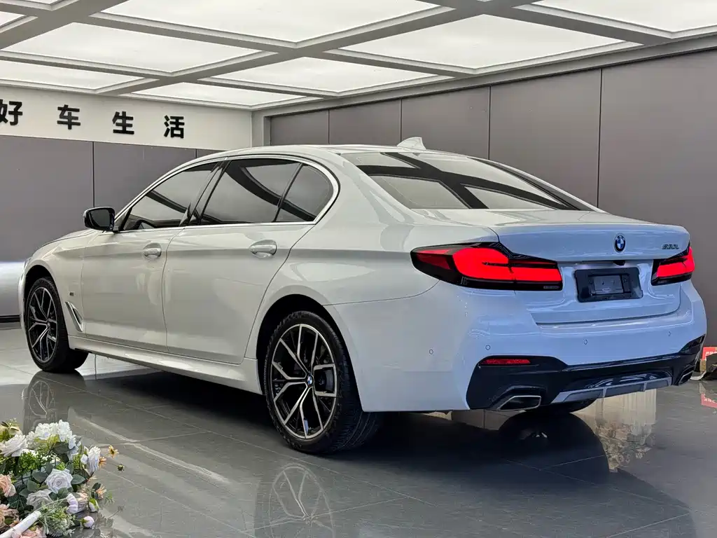 BMW 5 Series — миниатюра 14