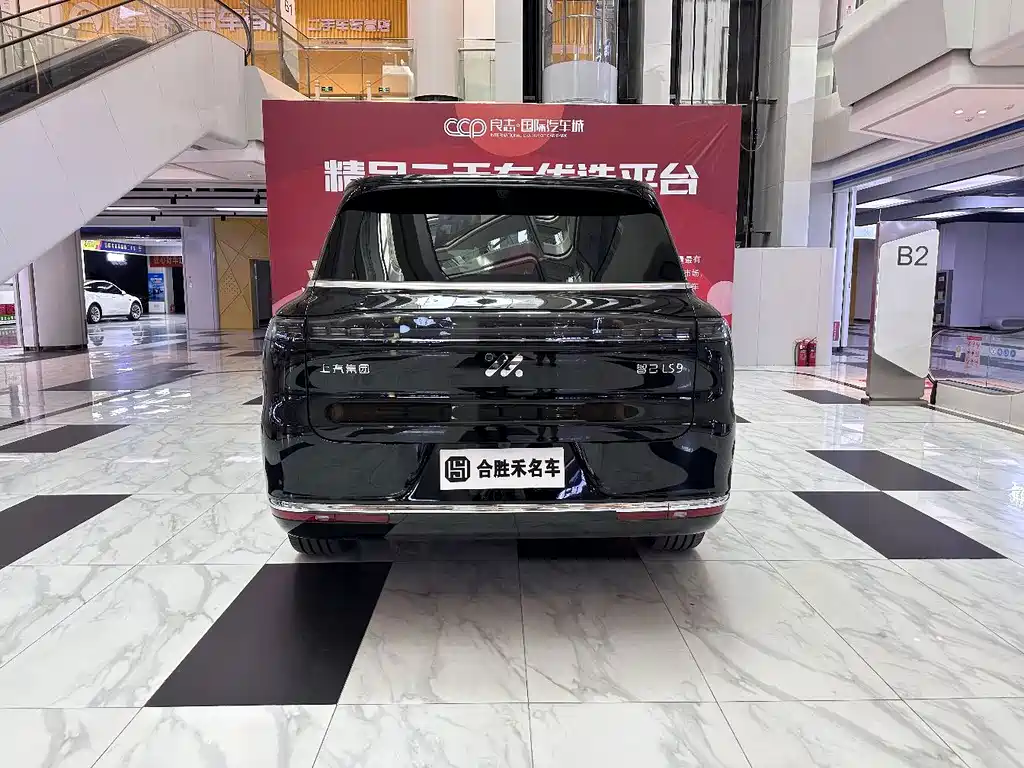 IM IM LS9 — миниатюра 10