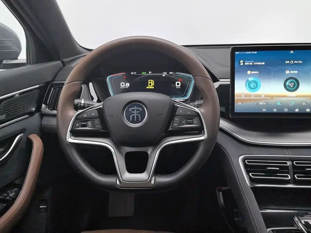 BYD PLUS — миниатюра 11