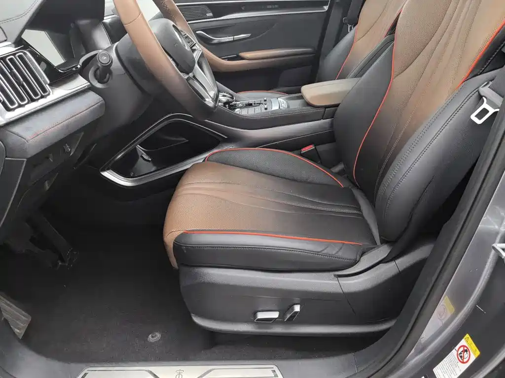 BYD PLUS — миниатюра 20
