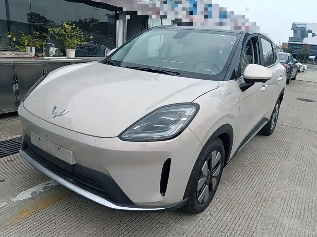 Wuling Bingo S