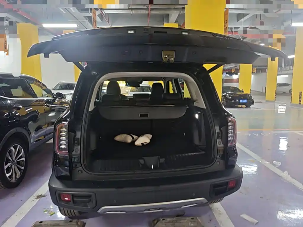 Haval Big Dog — миниатюра 19