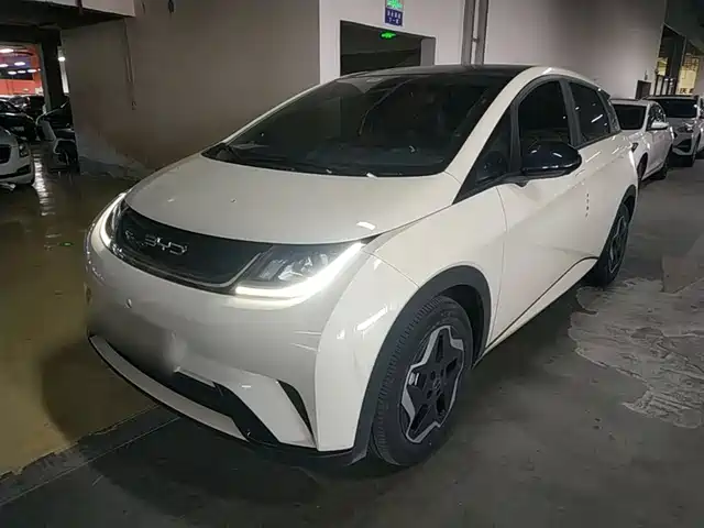 2023 BYD Dolphin