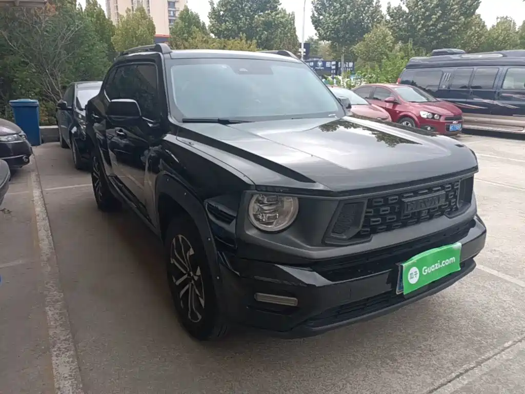 Haval Big Dog PLUS — миниатюра 4