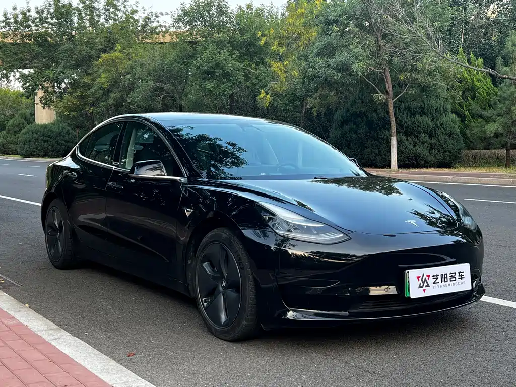 Tesla Model 3 — миниатюра 3