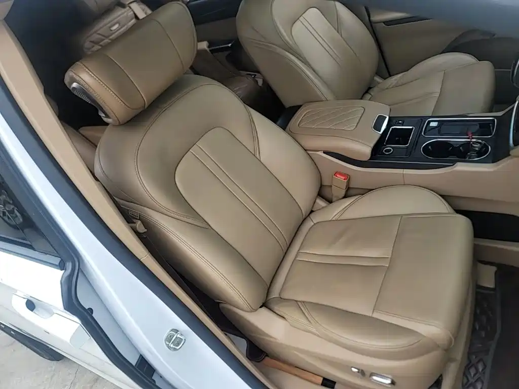 Buick GL8 — миниатюра 25